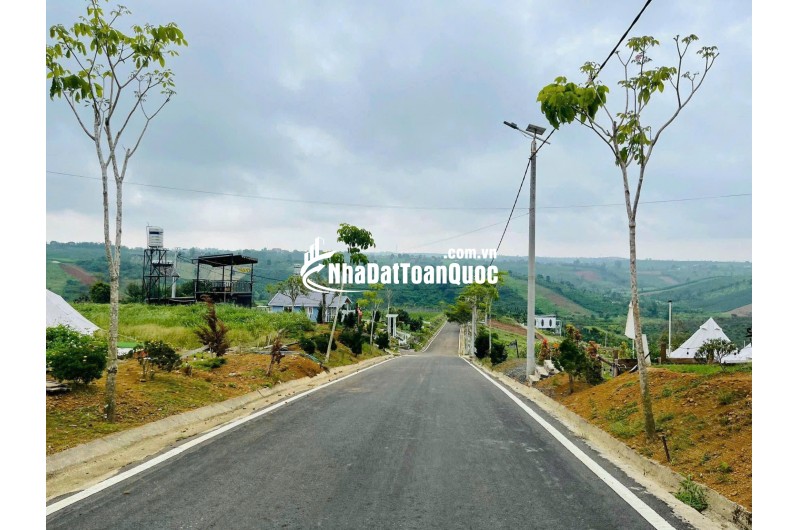 [HOT] Sở hữu ngay 1 lô tại NaLi Chill - Homestay and BBQ giá bán chỉ 850TR